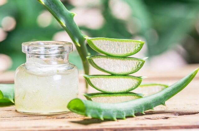 Aloe Vera Faydaları